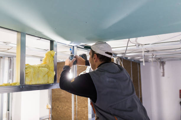 Best Specialized Insulation Services in Sumter, SC